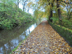 About Outdoor Therapy. River Path