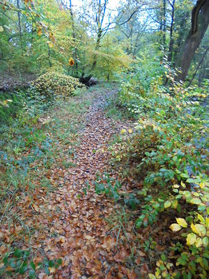 About Outdoor Therapy. Tow Path